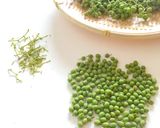 和食の基本☆山椒の実の下処理と保存作り方1写真