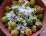 梅干の漬け方♡作り方10写真