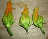 手早く！ズッキーニの花のファルシ作り方1写真