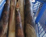破竹でシナチク作り方1写真