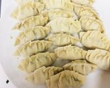 節約＆ダイエット！冷凍豆腐de肉なし餃子作り方2写真