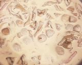 贅沢キノコのクリームパスタ作り方9写真