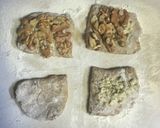 加水率100%!加藤が焼く「加トパン」作り方7写真