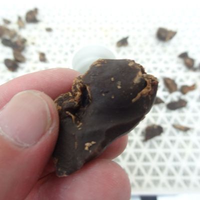 chara♡レバージャーキーセット 鳥レバージャーキー｜食品乾燥機ドラミニ by ラボネクト