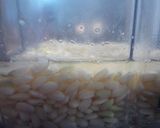 玄米酵母の作り方　作り方7写真