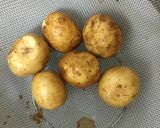 STAUB: 角煮の肉じゃが作り方2写真