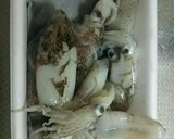 下処理つき★ヒイカとしめじの簡単マリネ作り方1写真