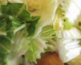 厚揚げと白菜の甘辛トロピリ餡掛け麺♪作り方8写真