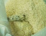 しっぽがないけど海老フライ作り方3写真