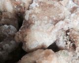 暑い日にサッパリ紫蘇からあげ作り方6写真