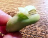 コロコロチキンボールのクリームカレー煮作り方2写真