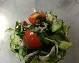 簡単で節約★イタリアンカラー酢の物サラダ作り方22写真