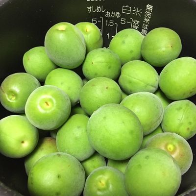 梅ジュースと梅ジャム プラムハニップ | お銀ちゃんの大日本漫遊記( v^-゜)♪