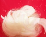 玉ねぎたーっぷり！和風ステーキソース★作り方1写真