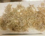 しらすの味が主役の春雨、蒟蒻の和風炒め作り方3写真