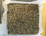 胡麻と南高梅のフロランタン作り方10写真
