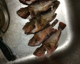奥さんに喜ばれるカサゴのパスタ作り方1写真