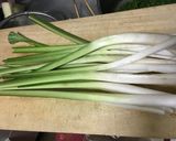 山菜食べよう！『ウルイ』の酢みそ和え作り方1写真