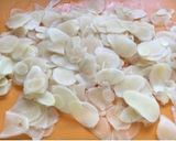 めっちゃ美味しい新生姜(ガリ)作り方6写真