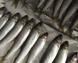 子鮎の甘露煮作り方1写真