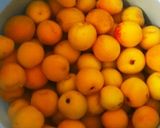 2016 申年の梅干し作り～part1作り方3写真