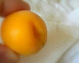 2016 申年の梅干し作り～part1作り方5写真