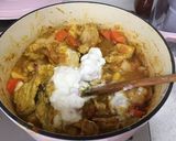 本格スパイシーチキンカレー作り方8写真