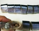 簡単＊圧力鍋で骨まで食べれるさんま煮＊作り方1写真