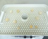 食品乾燥機で干しホタテ貝柱の作り方作り方6写真