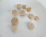食品乾燥機で干しホタテ貝柱の作り方作り方5写真