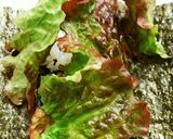 餃子手巻き作り方3写真