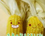 レンジで簡単♪とうもろこし作り方11写真