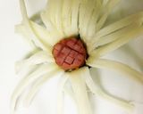 チーズのお花作り方8写真