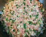 肉汁溢れるパリッパリ羽根付き野菜餃子✨作り方3写真