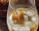 冷凍させた梅の酵素ジュース作り方4写真