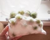 真空調理で簡単!!時短梅シロップ作り方4写真