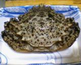 青森花見名物！レンチンでクリガニ汁作り方1写真