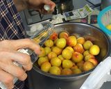 我が家の梅干し作り①作り方4写真