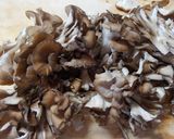 簡単！セロリとじゃが芋と舞茸のスープ☆作り方1写真