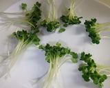 鰹のベーコン巻き焼作り方5写真