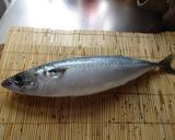 意外と簡単!包丁一つで~サバのおろしかた作り方1写真
