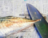 油1cmで＊アジの南蛮漬け(三枚おろし)作り方1写真