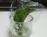 10日間以上OK？！大葉は野菜室で保存☆作り方3写真