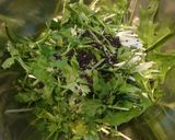 ☆パクチーと水菜のチョレギ風サラダ合え☆作り方3写真