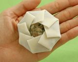 ▲激押しの一品▲海老ニラまんじゅう作り方12写真