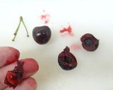 ドライチェリーの作り方｜食品乾燥機作り方2写真