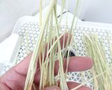 ドライレモングラスの作り方｜食品乾燥機作り方5写真