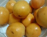 琵酒焼酎漬け❗作り方1写真