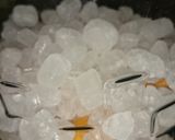 琵酒焼酎漬け❗作り方3写真