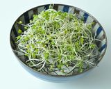 漬けかつおとスプラウトのヘルシー丼作り方3写真